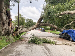 damage from hurricane